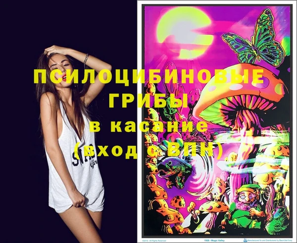 apvp Зерноград