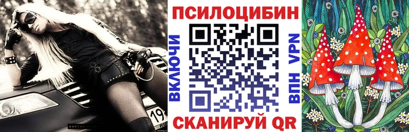 Купить  Жуков  Псилоцибиновые грибы Magic Shrooms 